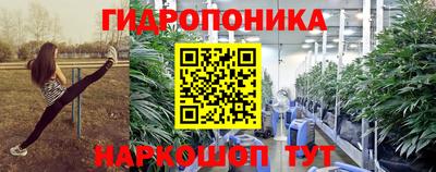 spice Пенза