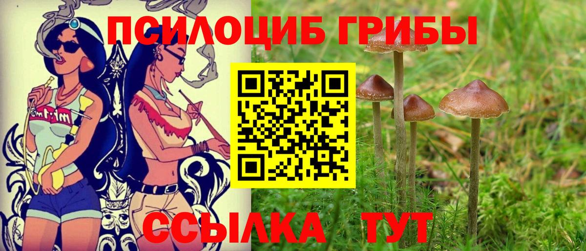 Уссурийск  купить закладку  Вход с VPN  Галлюциногенные грибы MAGIC MUSHROOMS 